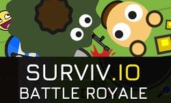 Игра Сурвив. ИО (Выживший)